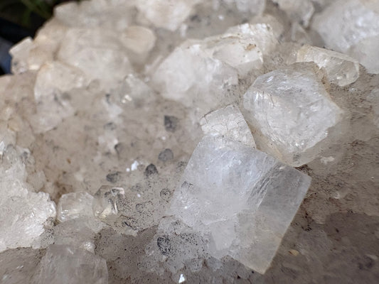 Apophyllite Cluster