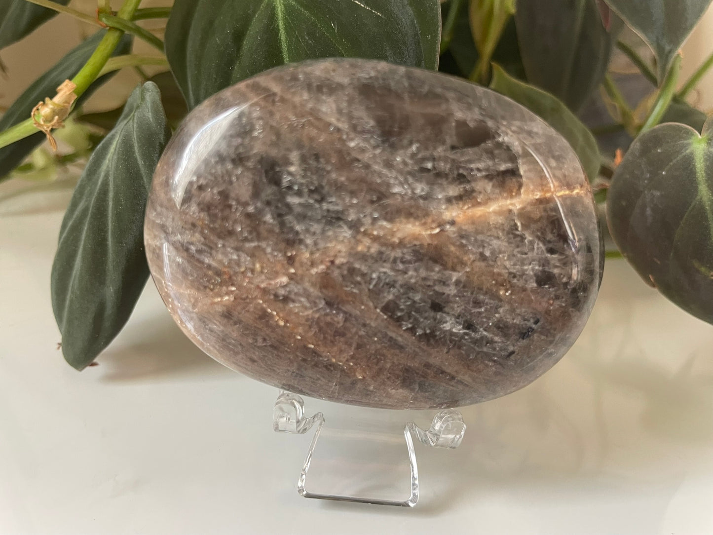 Black Moonstone Palmstone