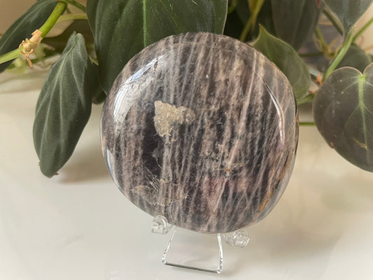 Black Moonstone Palmstone