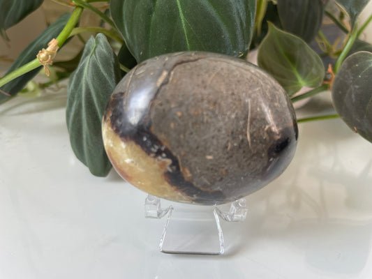 Septarian (Dragon Stone) Palmstone