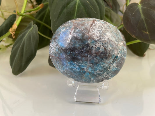 Apatite Palmstone