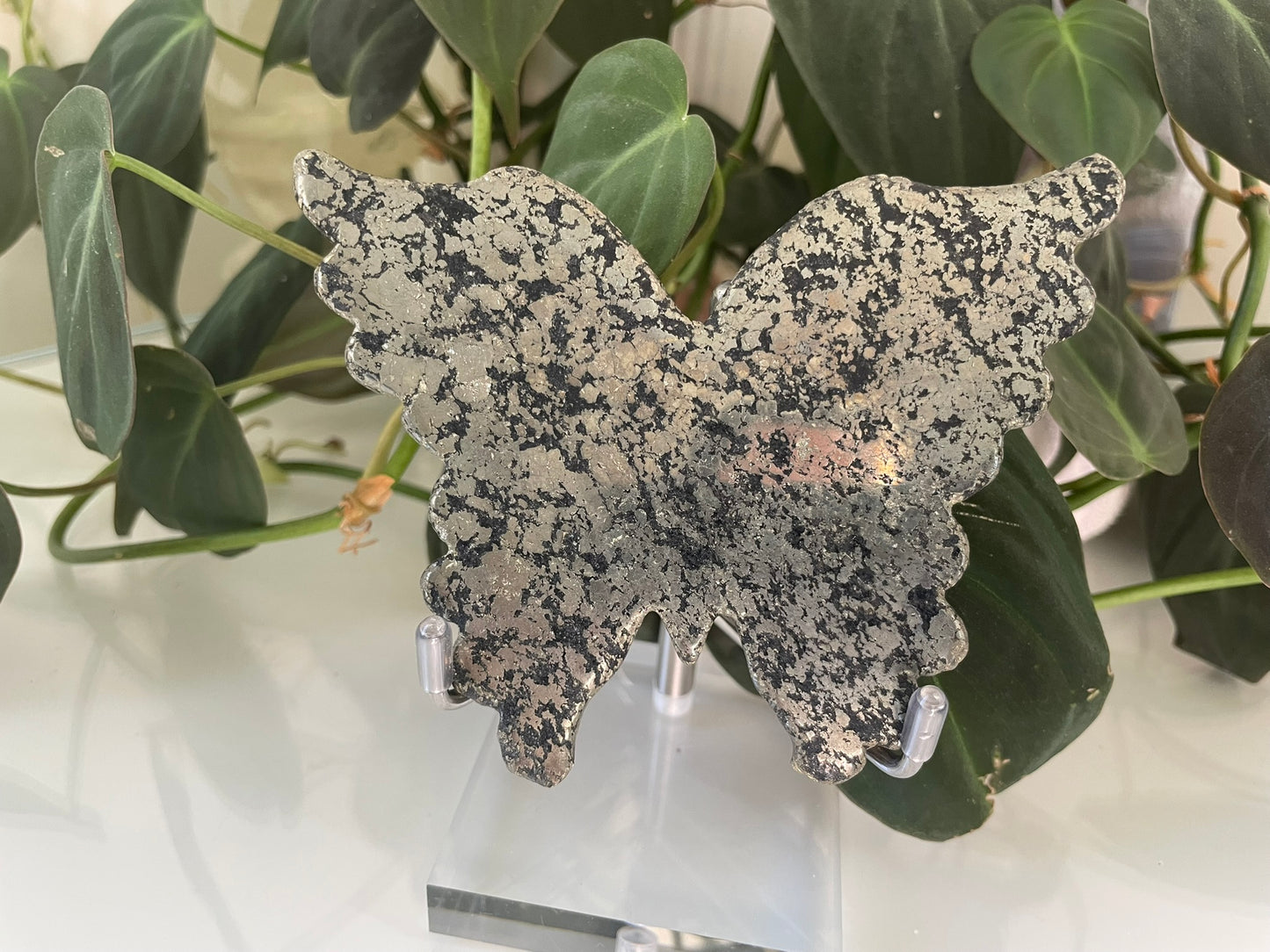 Pyrite Butterfly