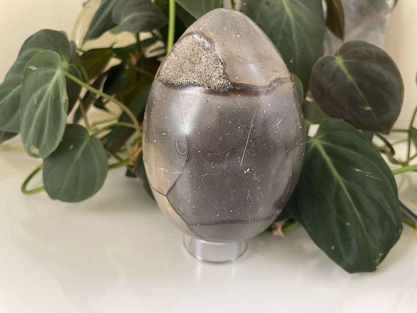 Septarian (Dragon Stone) Egg