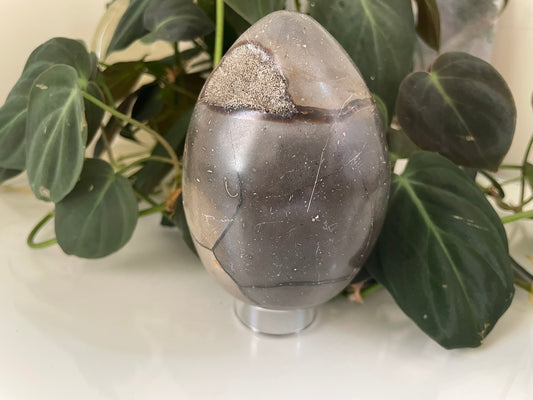 Septarian (Dragon Stone) Egg