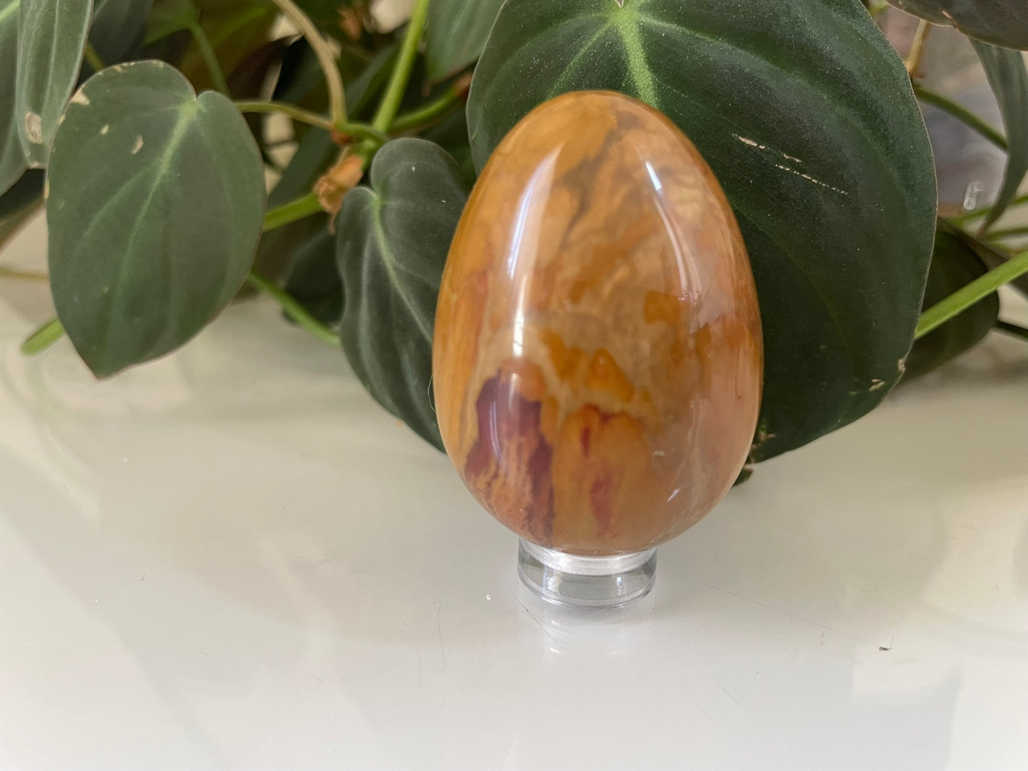 Petrified Wood Egg