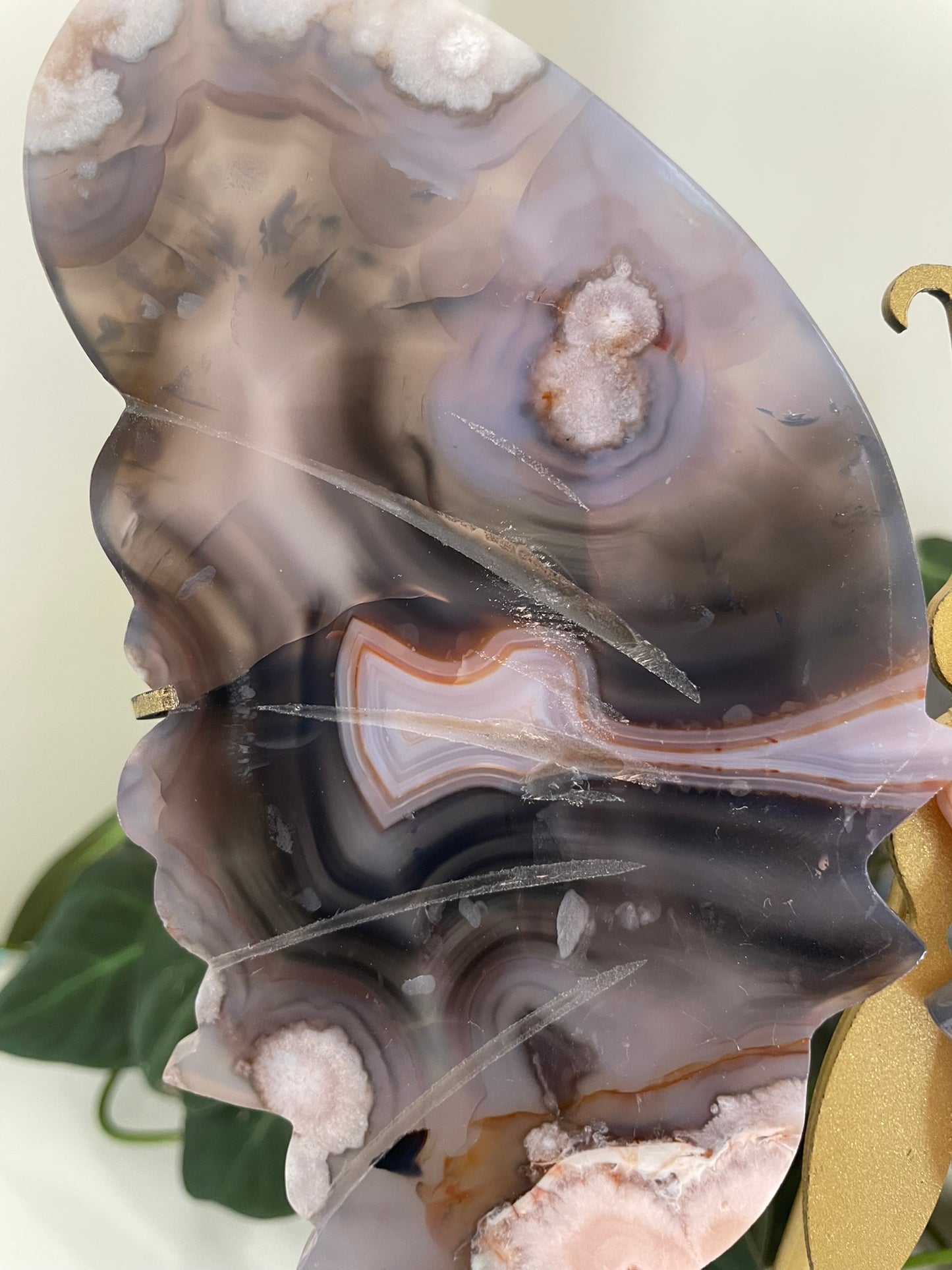 Blue Flower Agate Butterfly Wings