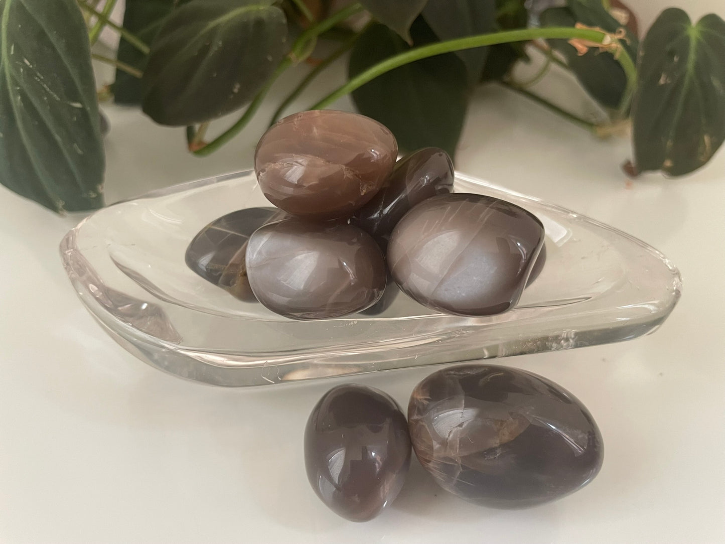 Black Moonstone Tumbles
