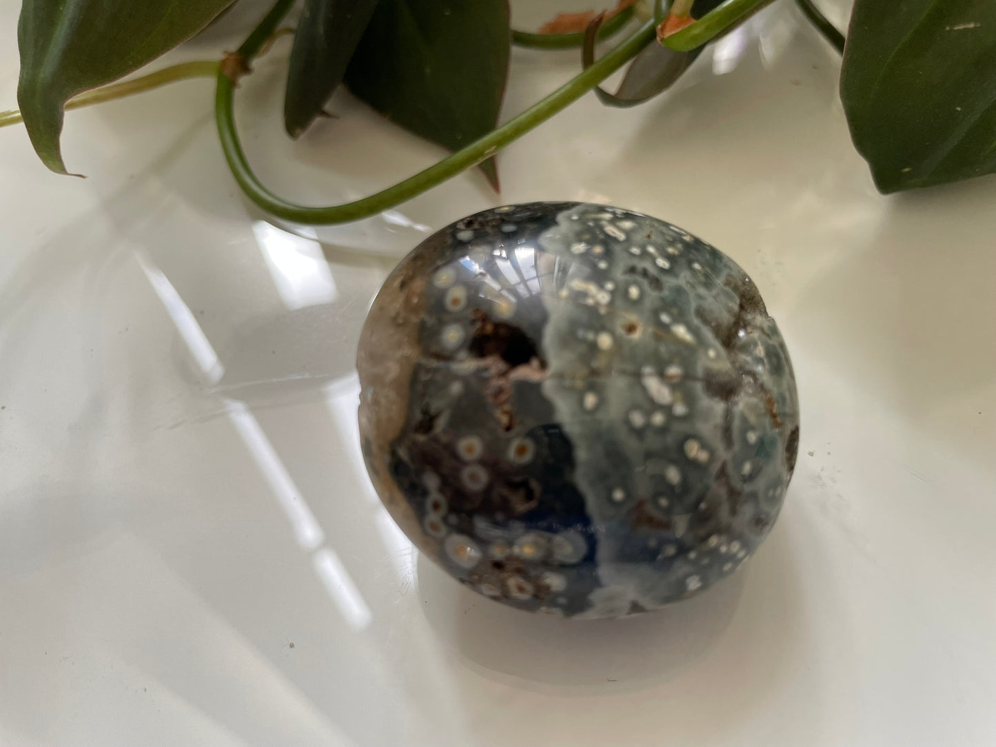 Ocean Jasper Palmstone