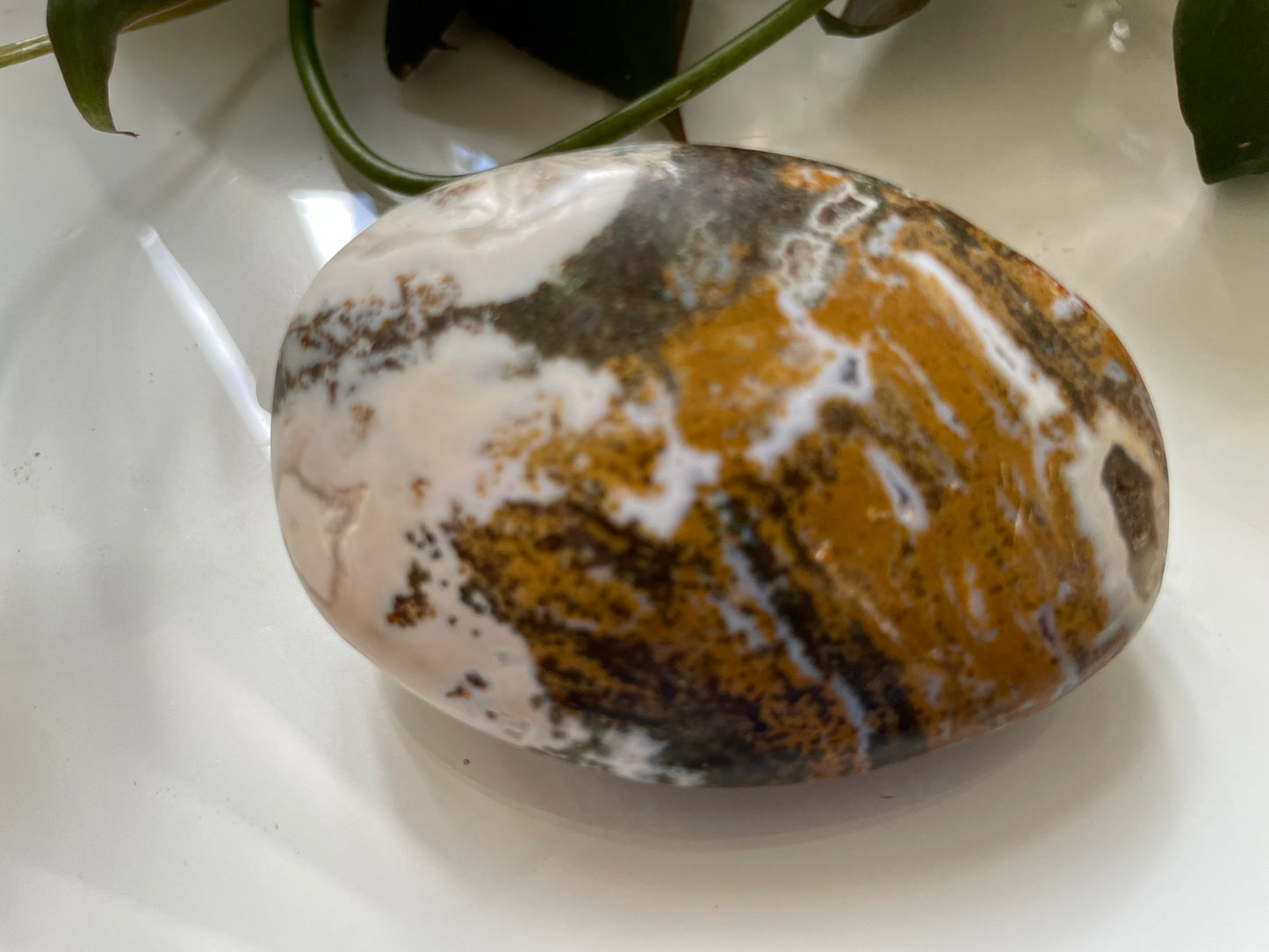 Ocean Jasper Palmstone