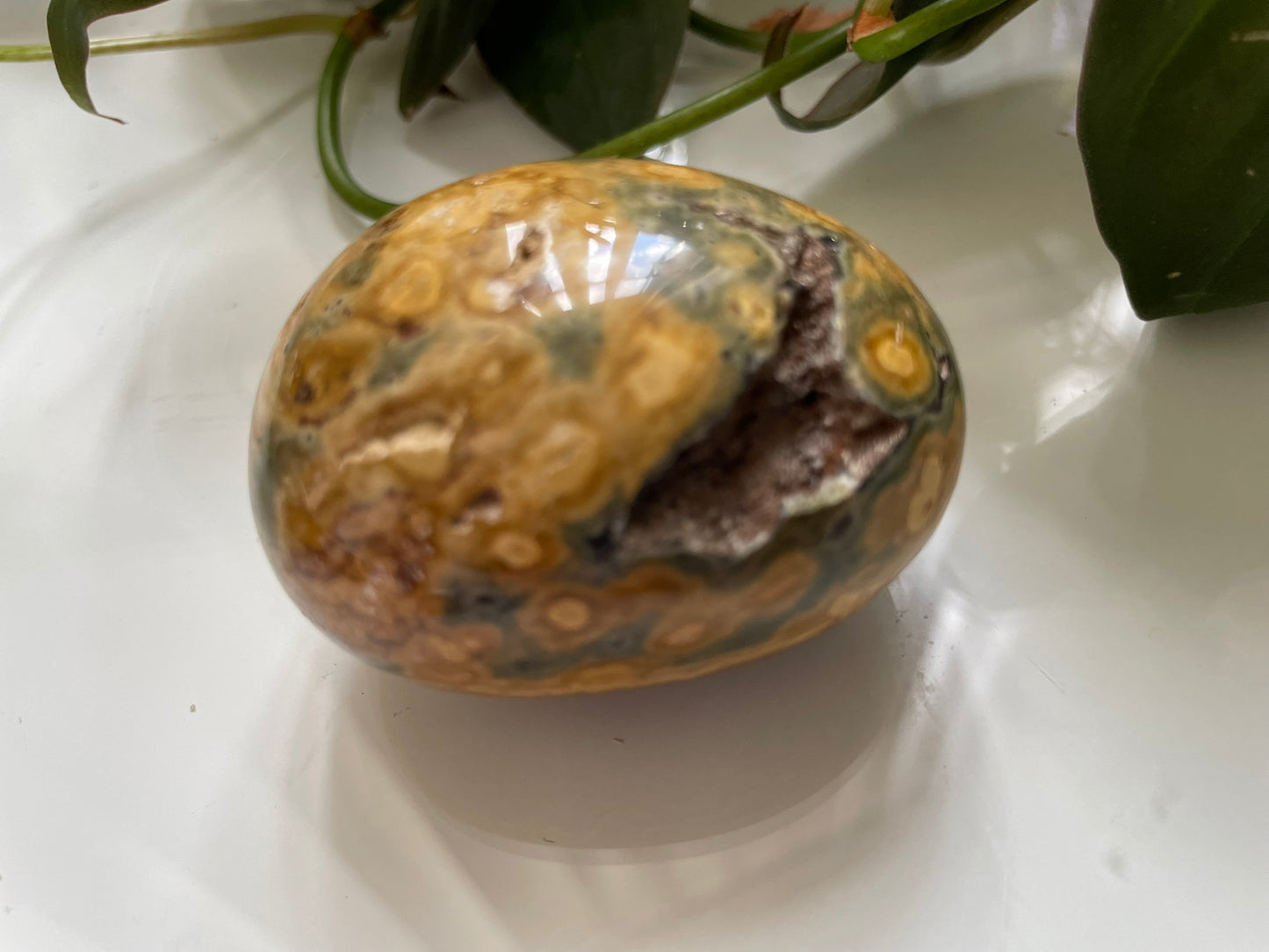 Ocean Jasper Palmstone