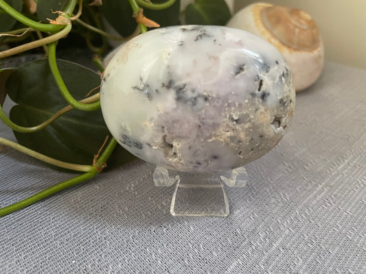 Dendritic Agate Palmstone