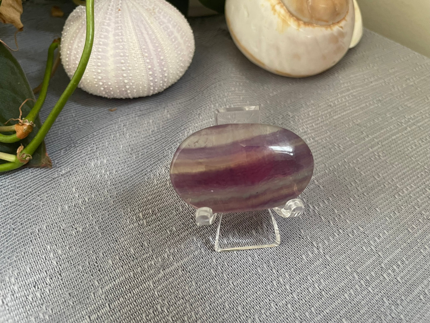 Purple Fluorite Palmstone