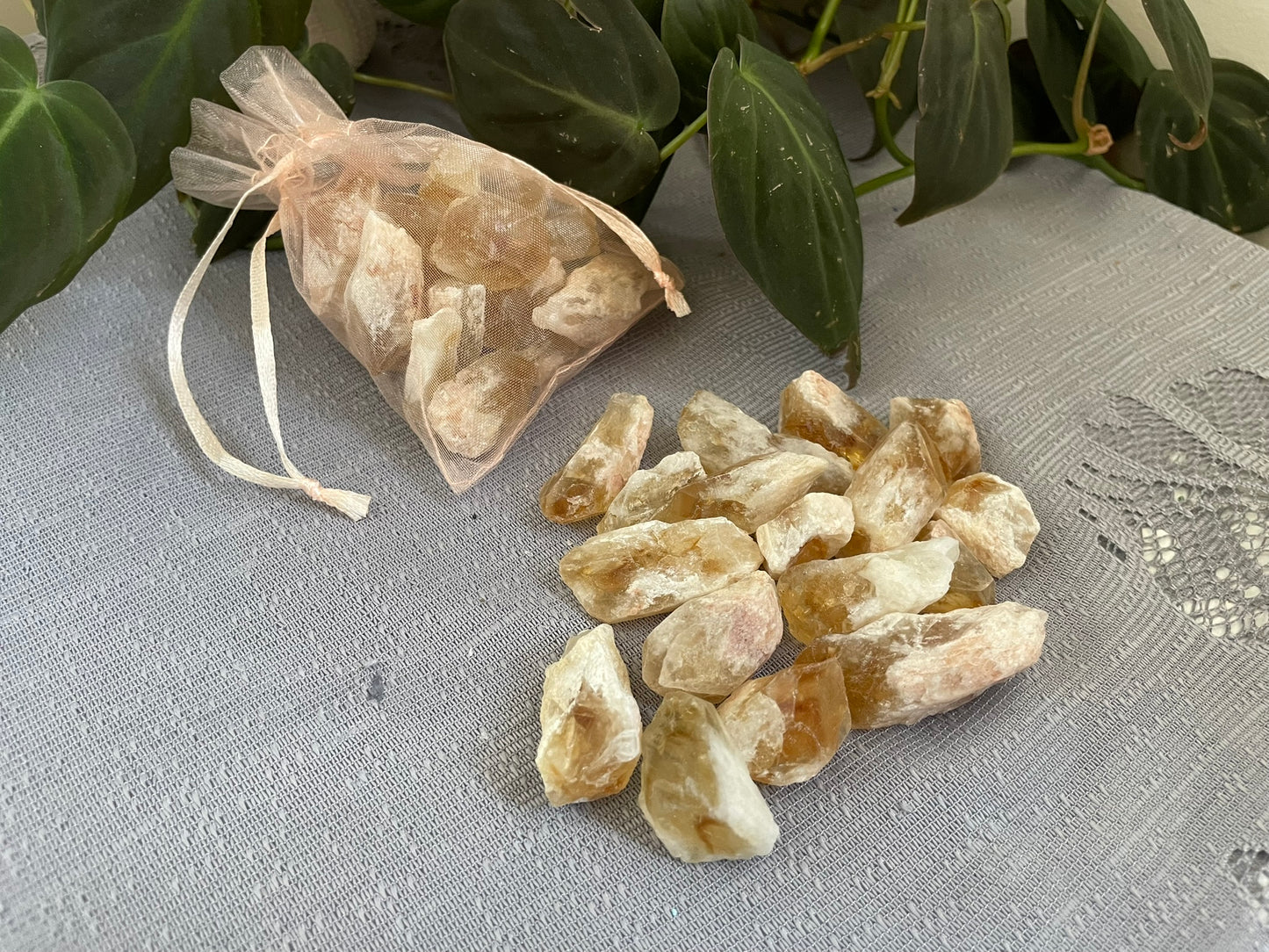 Citrine Dragons Tooth Grid Point Set