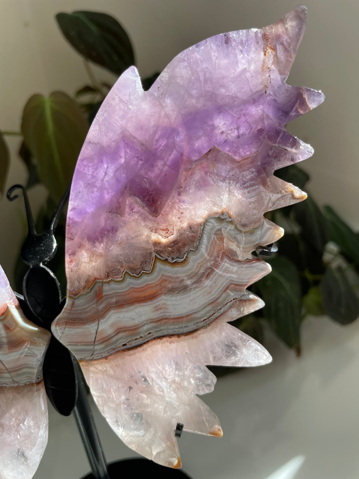 Amethyst Agate Butterfly Wings