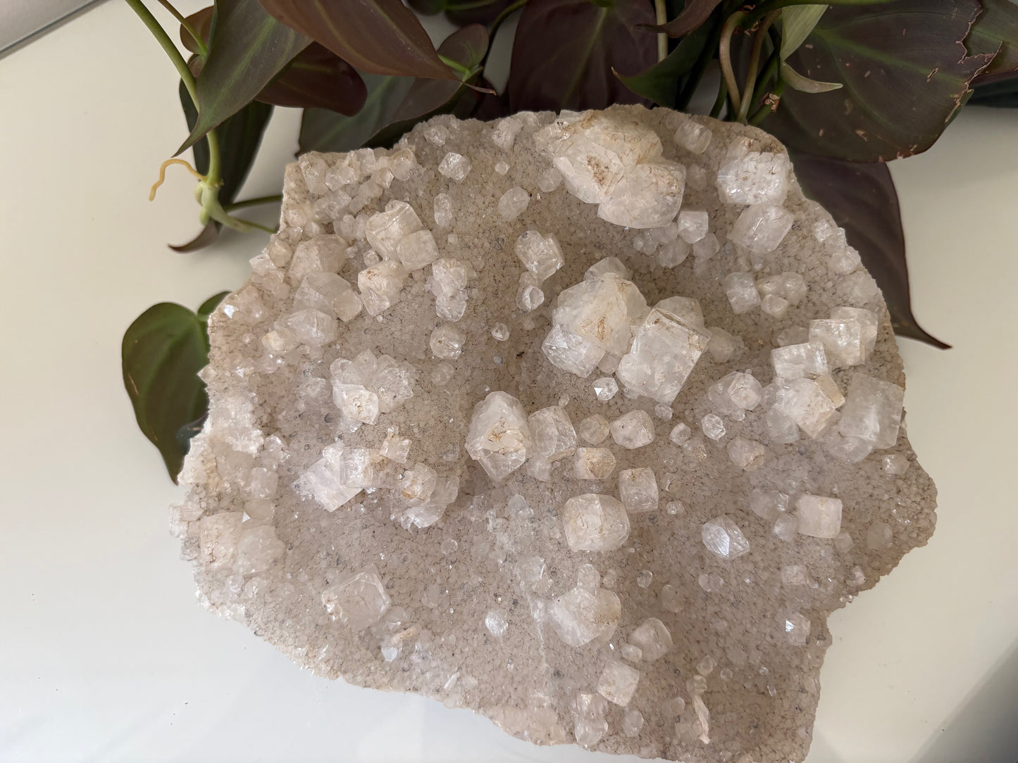 Apophyllite Cluster