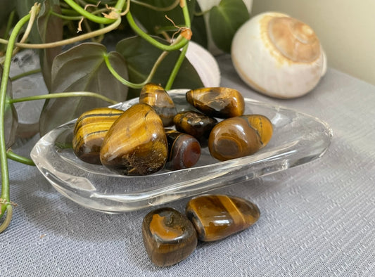 Tigers Eye Tumbles