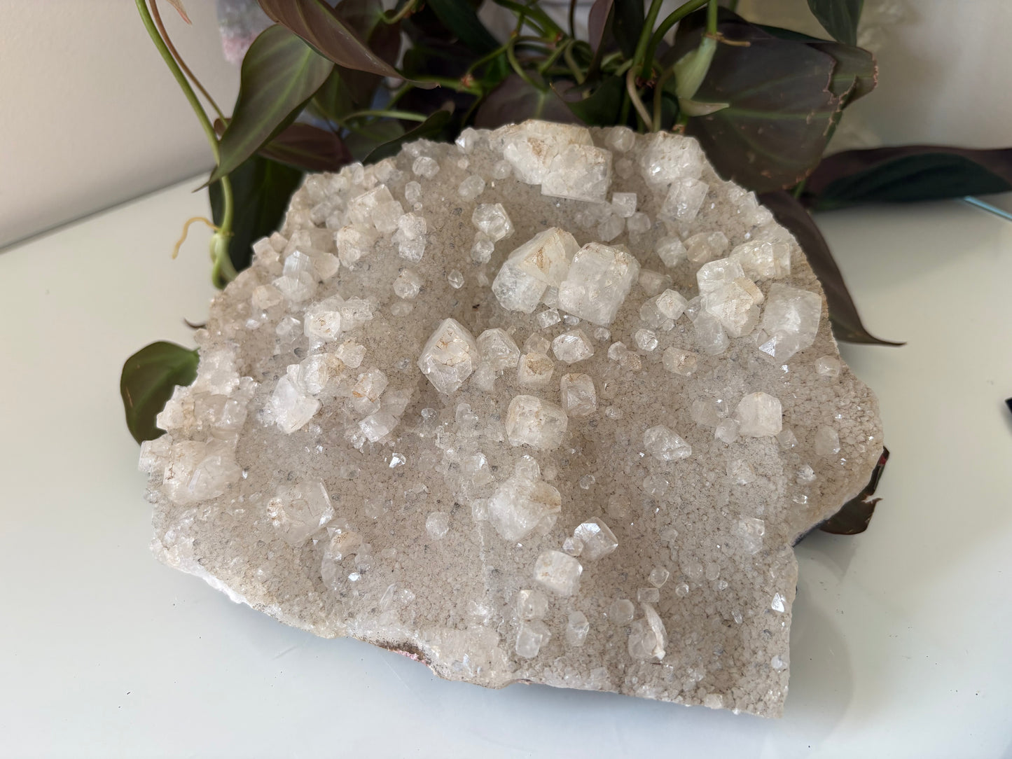 Apophyllite Cluster