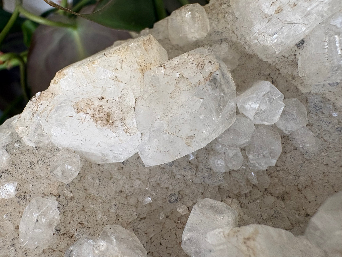 Apophyllite Cluster