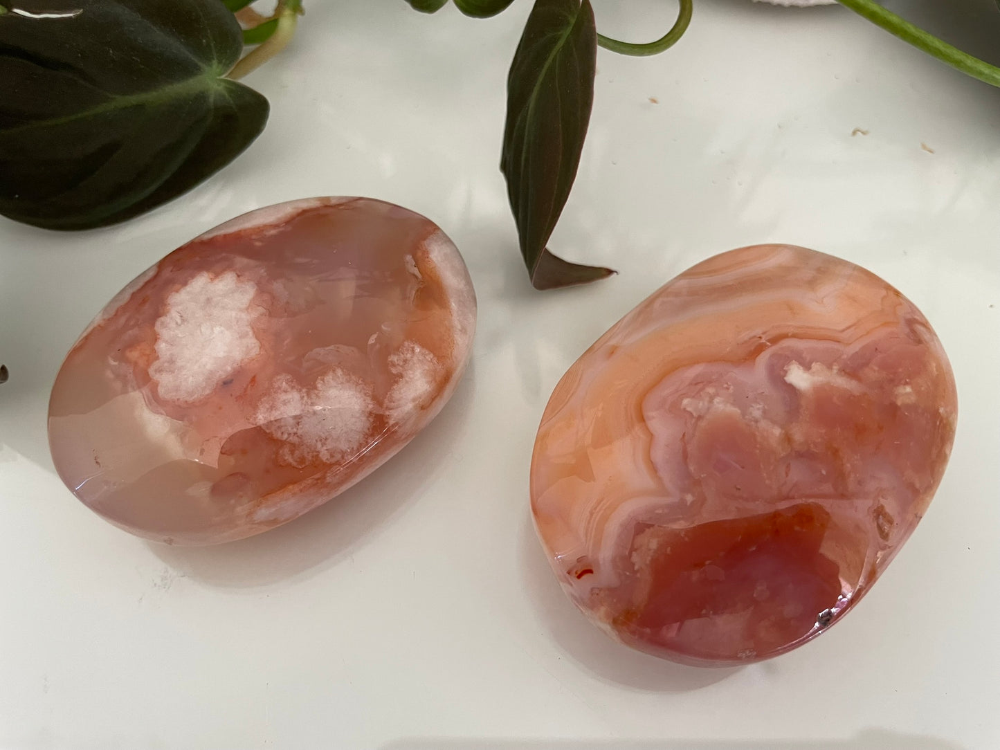 Flower Agate Palmstone