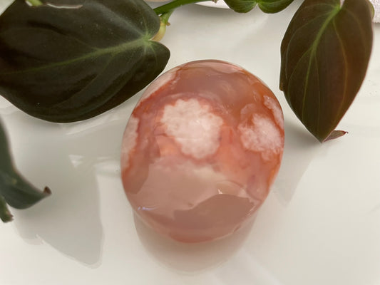 Flower Agate Palmstone