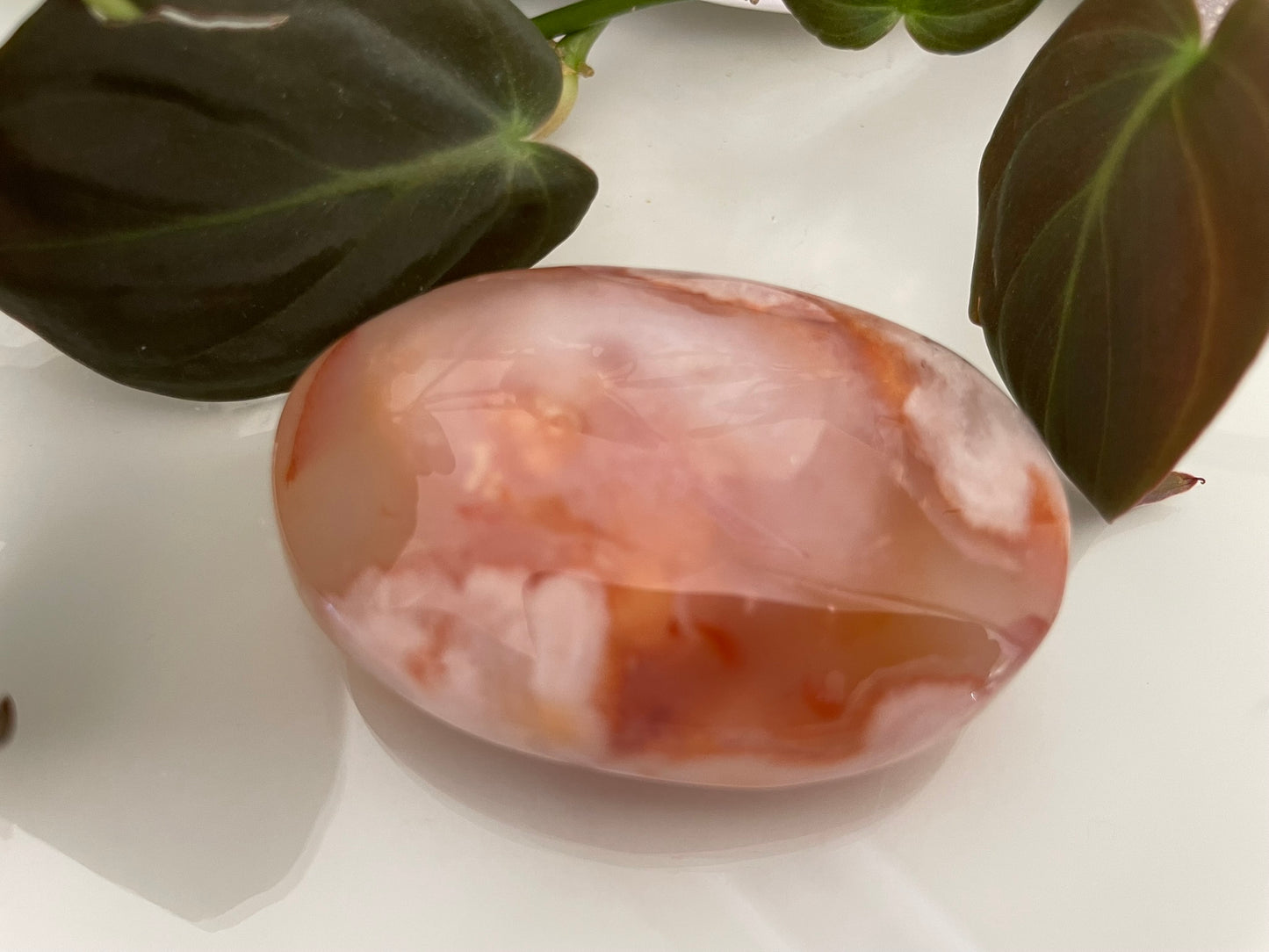 Flower Agate Palmstone