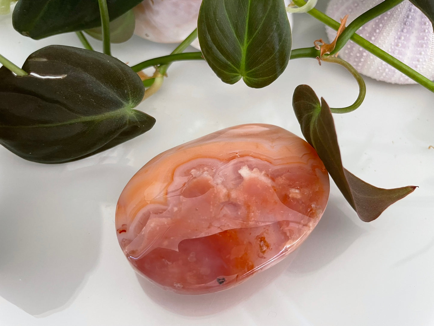 Flower Agate Palmstone