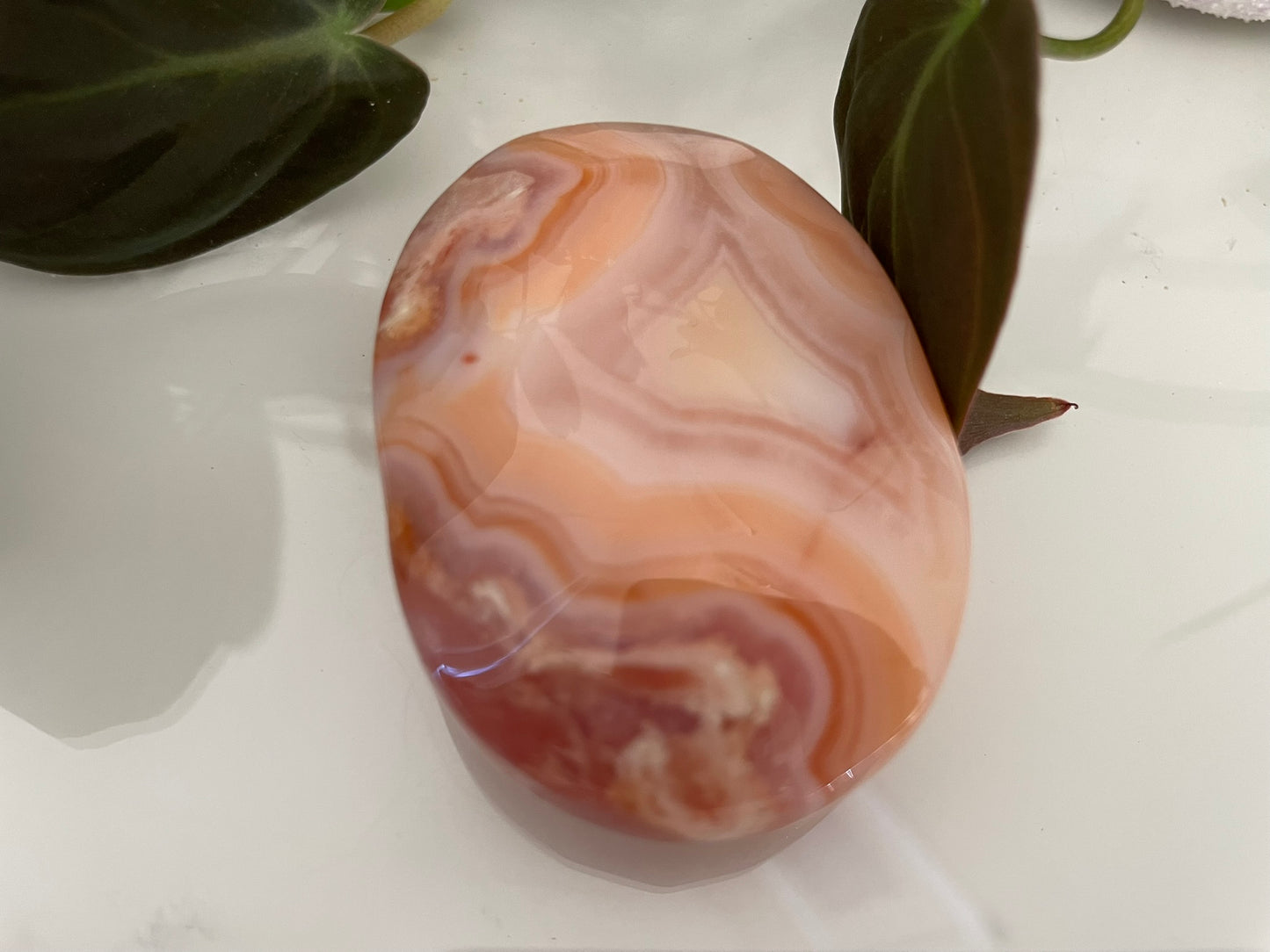 Flower Agate Palmstone