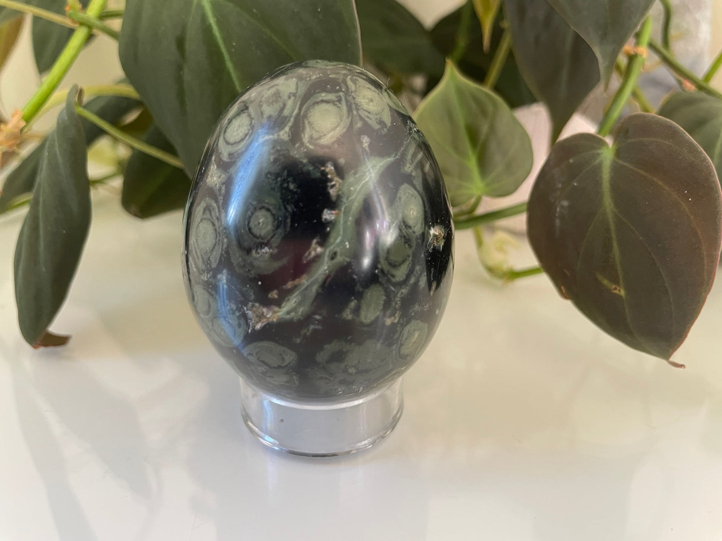 Kambaba Jasper Egg