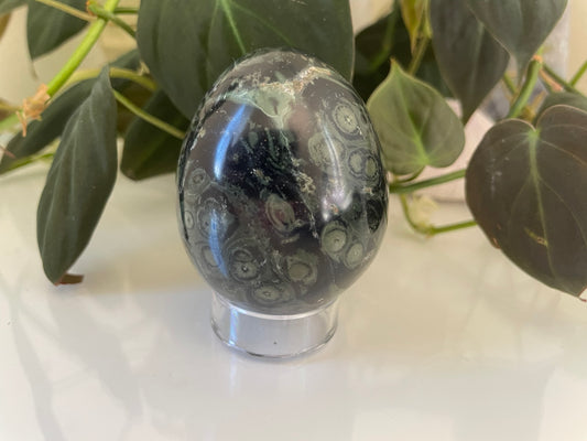 Kambaba Jasper Egg