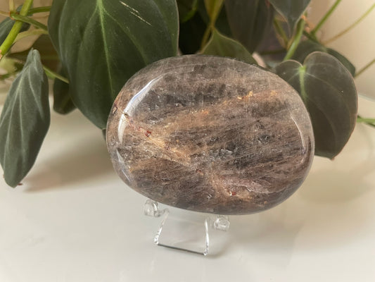 Black Moonstone Palmstone