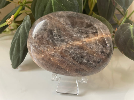 Black Moonstone Palmstone