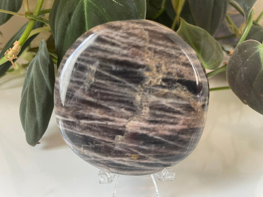 Black Moonstone Palmstone