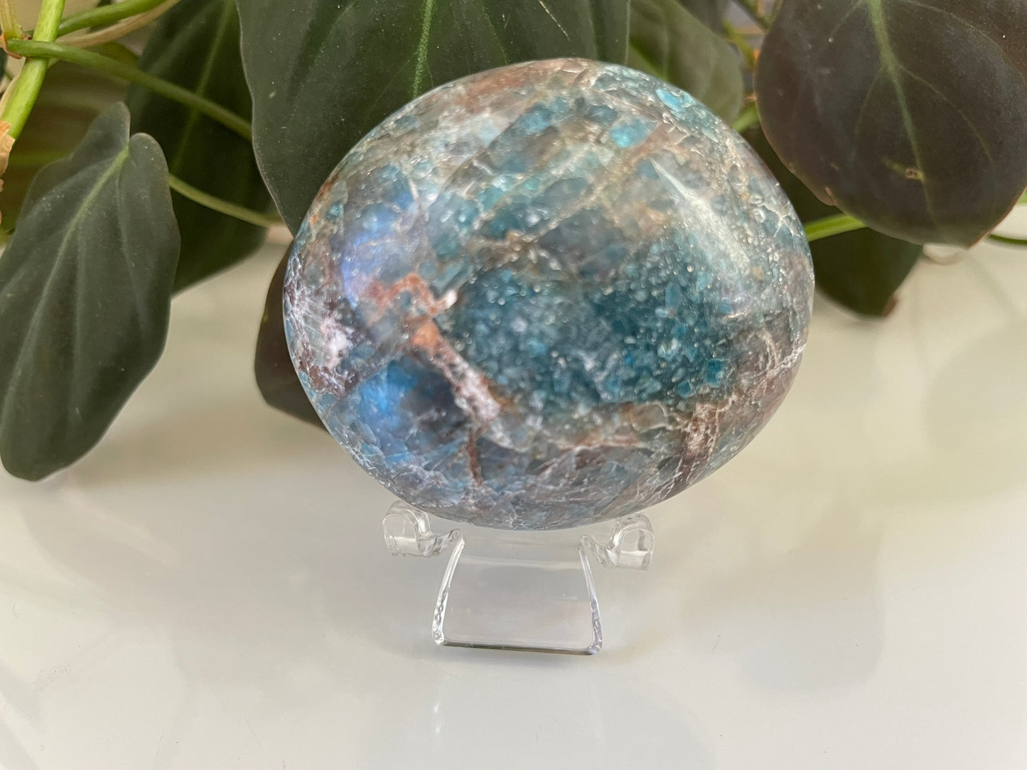 Apatite Palmstone