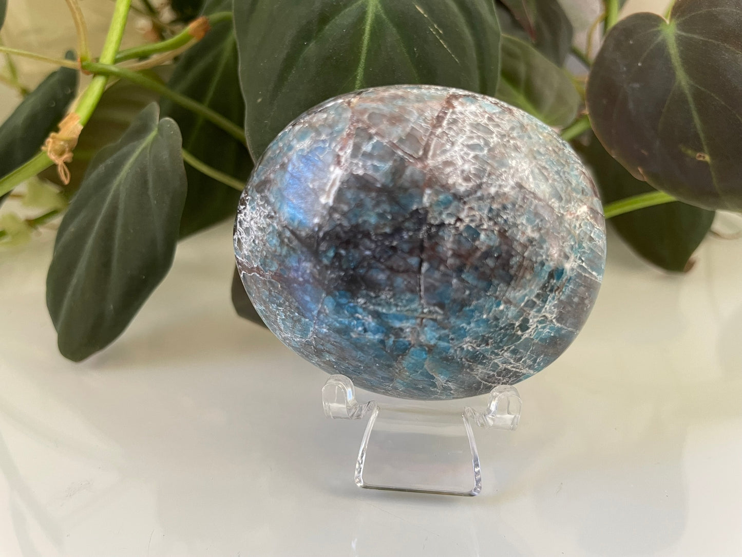 Apatite Palmstone