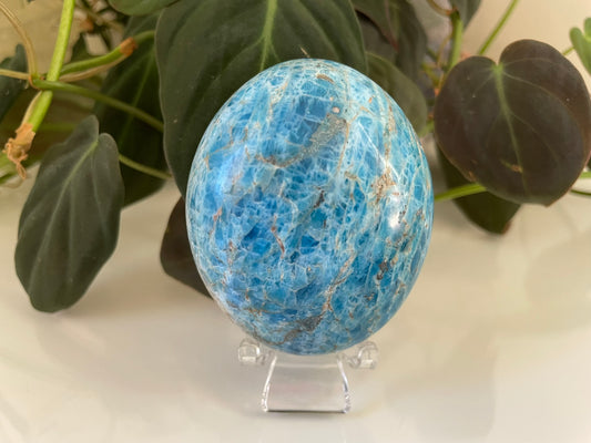 Apatite Palmstone
