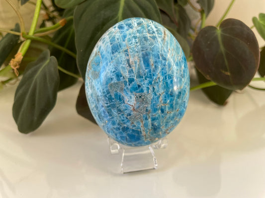 Apatite Palmstone