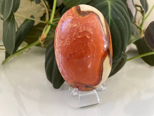 Polychrome Jasper Palmstone