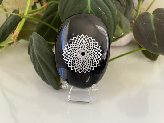 Black Obsidian - Torus Palmstone