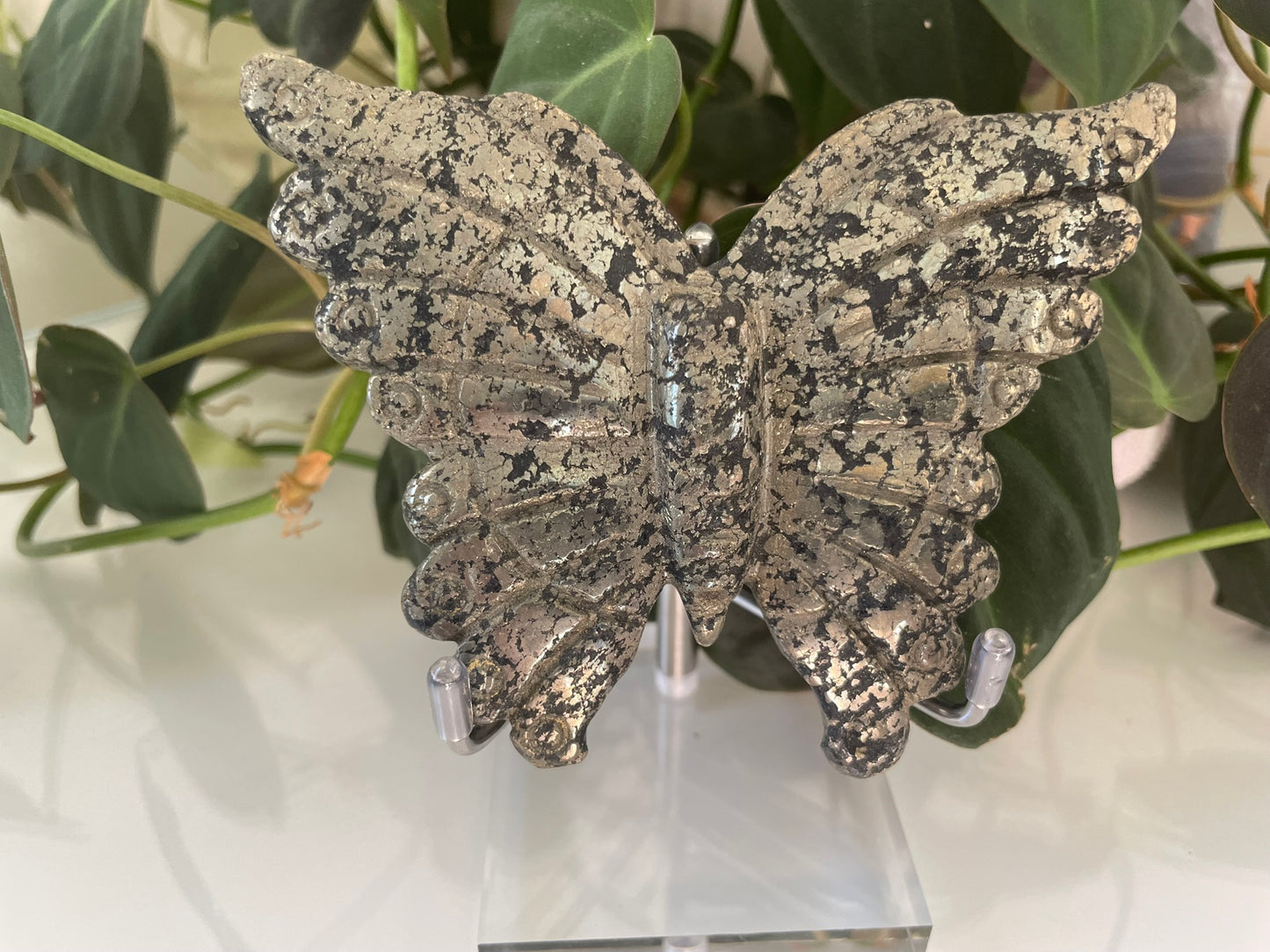 Pyrite Butterfly