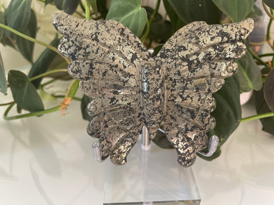 Pyrite Butterfly