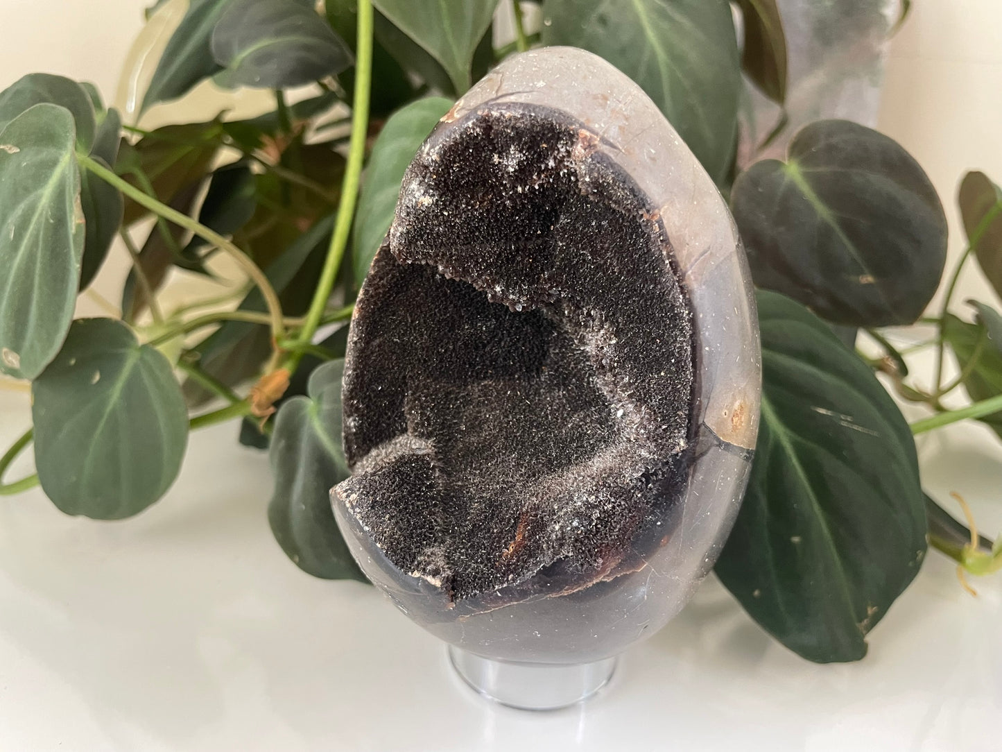 Septarian (Dragon Stone) Egg