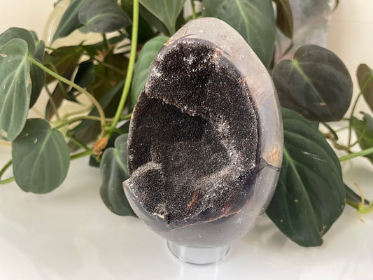 Septarian (Dragon Stone) Egg