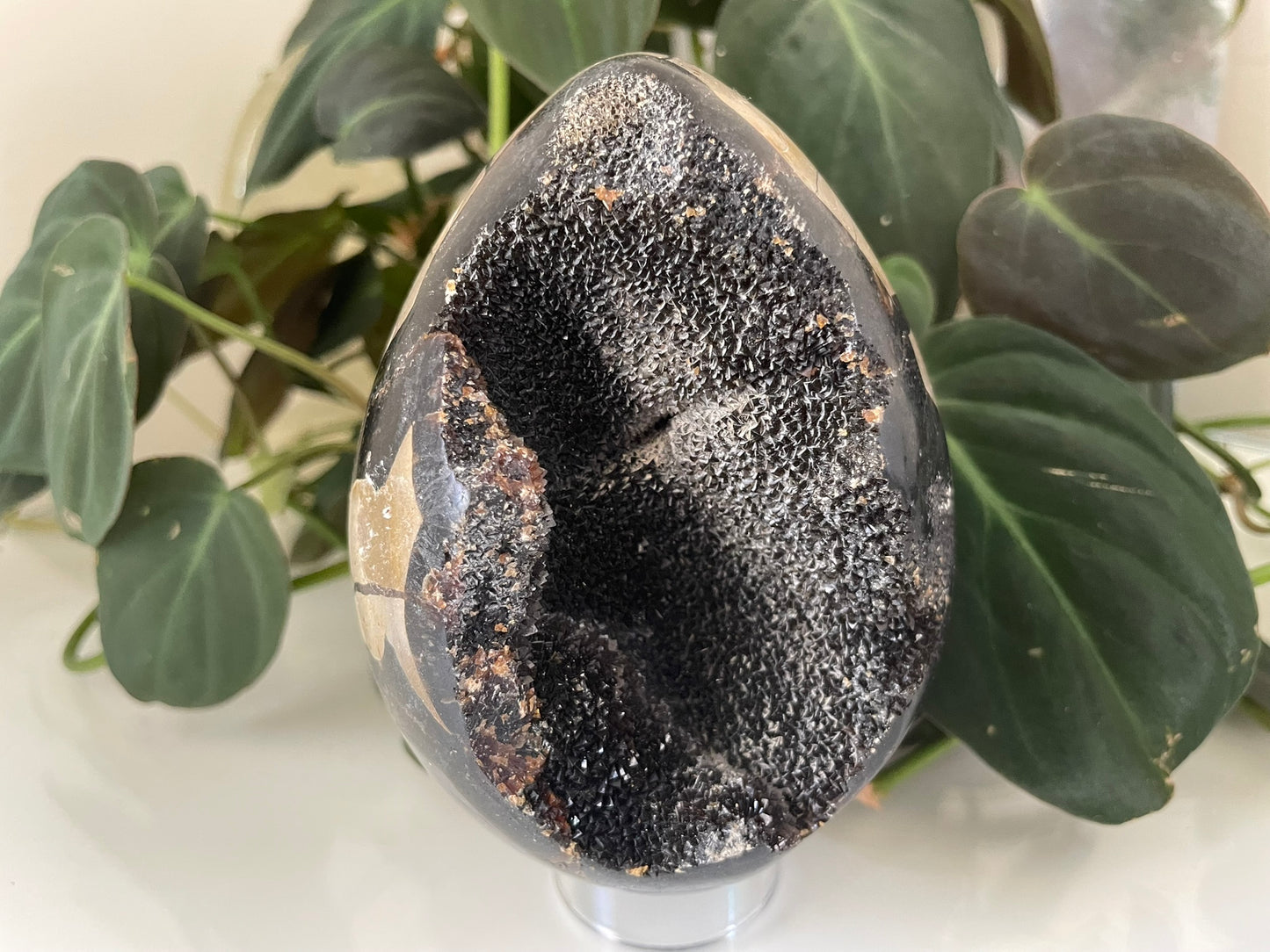 Septarian (Dragon Stone) Egg
