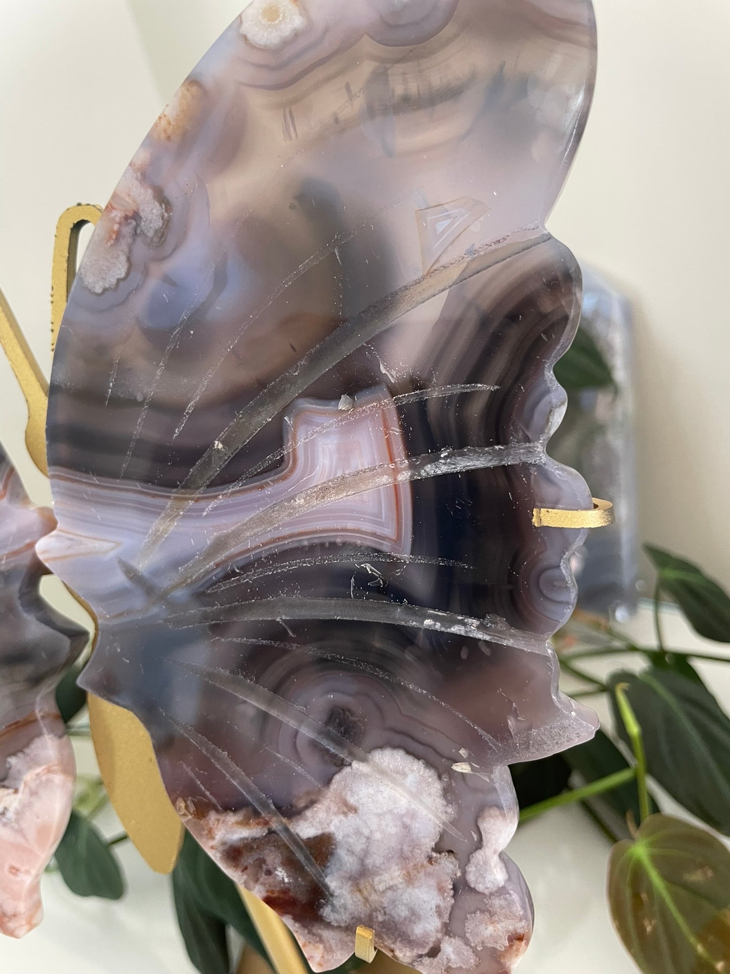 Blue Flower Agate Butterfly Wings