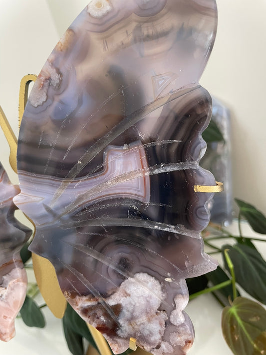 Blue Flower Agate Butterfly Wings