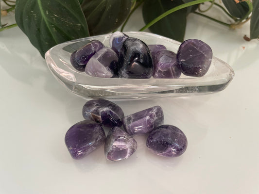 Dark Amethyst Tumbles