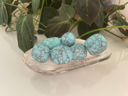 Turquoise Tumbles
