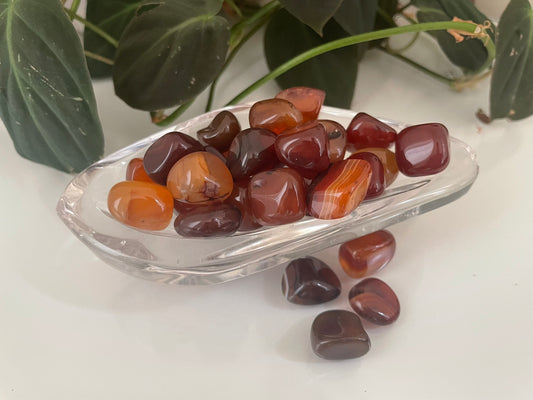 Carnelian Tumbles