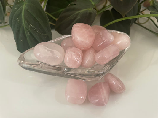 Rose Quartz Tumbles