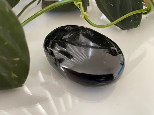 Black Tourmaline Palmstone